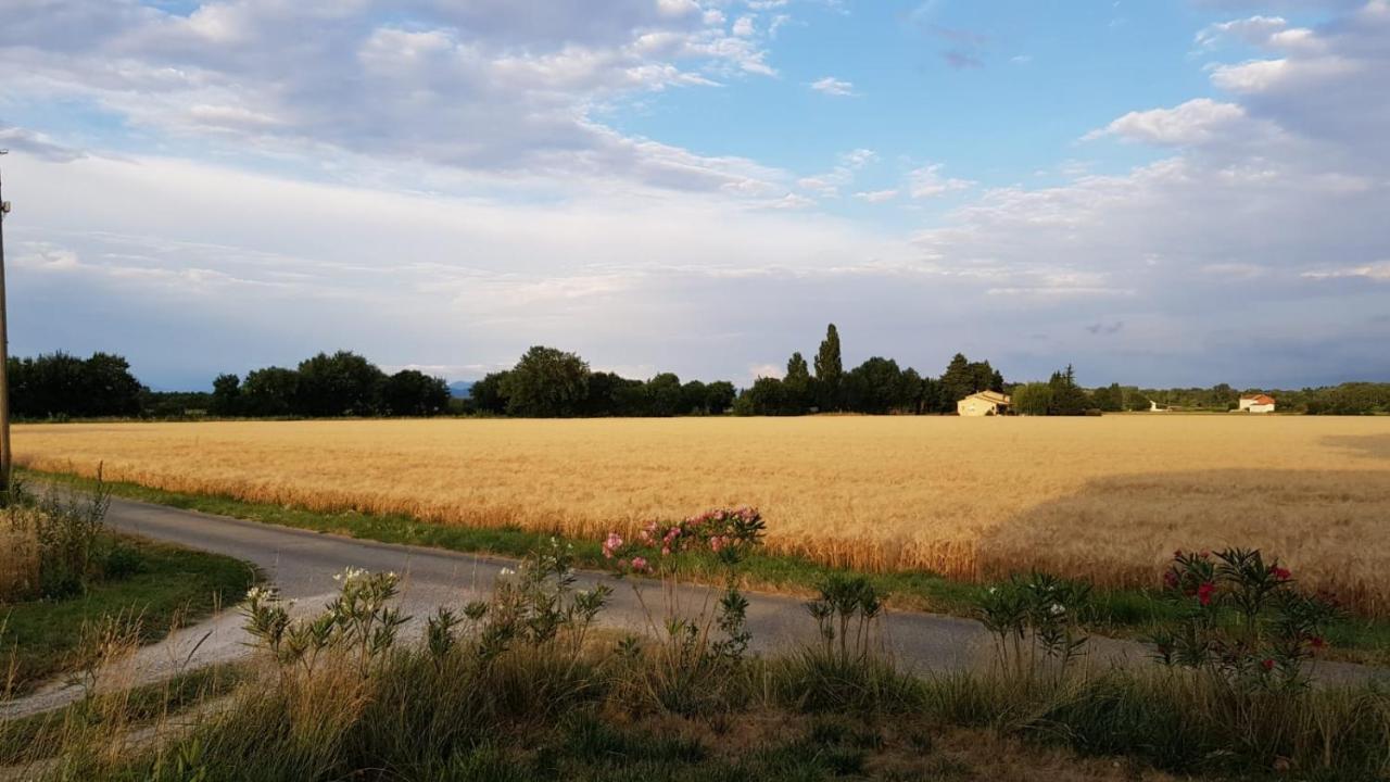 Maison Au Calme En Campagne Climatisee Caderousse Exterior photo